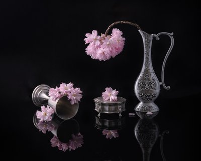  von Alice Sheng