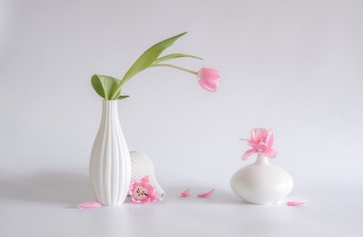 von Alice Sheng