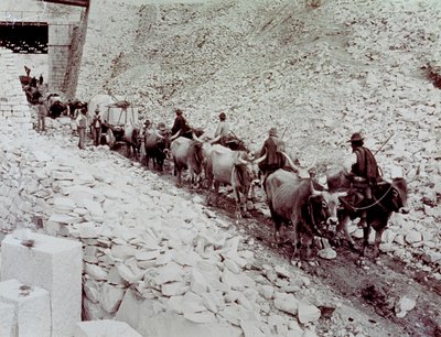 Szene, die den Transport von Marmorblöcken aus einem Steinbruch in Carrara zeigt. Der Wagen wird von zehn Ochsen gezogen von Fratelli Alinari