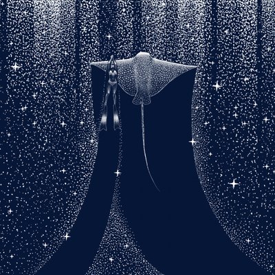 Sternen-Ozeantaucher von Alirıza ÇAKIR