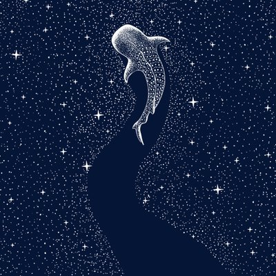 Sternen-Walhai von Alirıza ÇAKIR