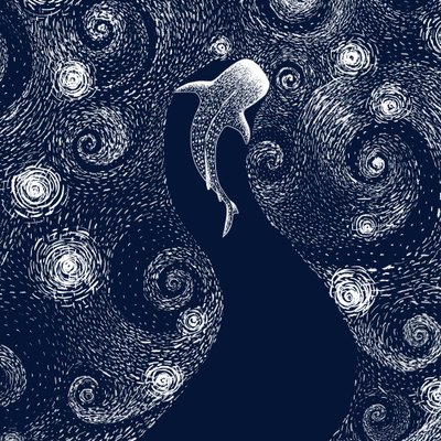 Walhai Sternenozean von Alirıza ÇAKIR