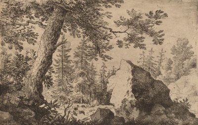 Fels im Wald, wahrscheinlich ca. 1645-1656 von Allart van Everdingen