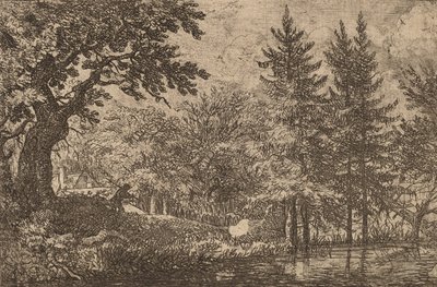 Tannen am Wasser, wahrscheinlich ca. 1645-1656 von Allart van Everdingen