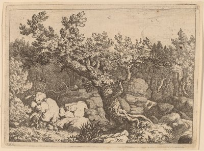 Sportler in der Nähe eines großen Baumes, wahrscheinlich ca. 1645-1656 von Allart van Everdingen