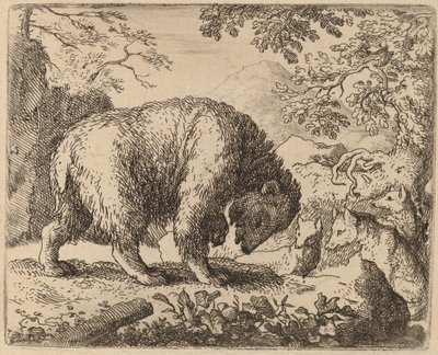 Der Bär abgelenkt durch Gespräche über Honig, wahrscheinlich ca. 1645-1656 von Allart van Everdingen