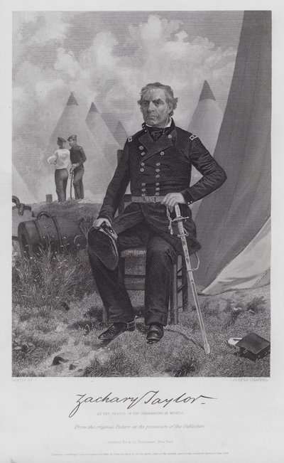 Zachary Taylor (Gravur) von Alonzo (after) Chappel