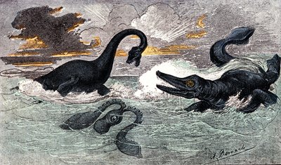 Lias-Periode (Unterjura): Plesiosaurier und Ichthyosaurier, natürliche Schöpfung und Lebewesen (Zeichnung von A. Demarle. 1885) von Alphonse Demarle
