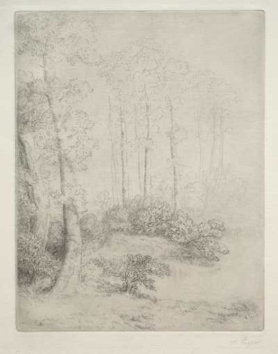Am Wasser von Alphonse Legros