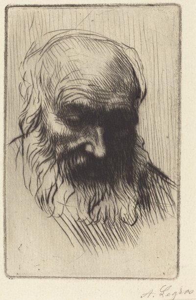 Kopf eines alten Mannes (Etude de tête) von Alphonse Legros
