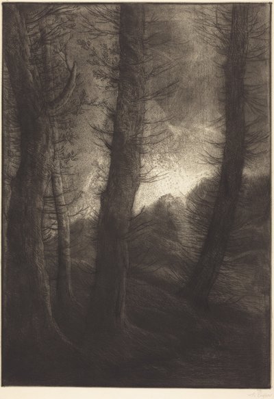 Große Bäume gegen die Sonne gesehen (Les grandes arbres: Effet du soir) von Alphonse Legros