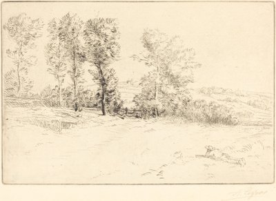 Wiese im Sonnenschein von Alphonse Legros