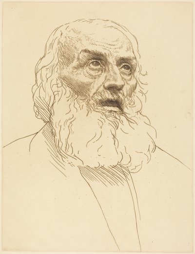 Studie eines alten Mannes von Alphonse Legros