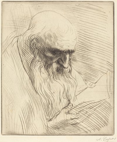 Studie des Kopfes eines lesenden Mannes von Alphonse Legros