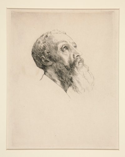 Kopf eines Modells von Alphonse Legros