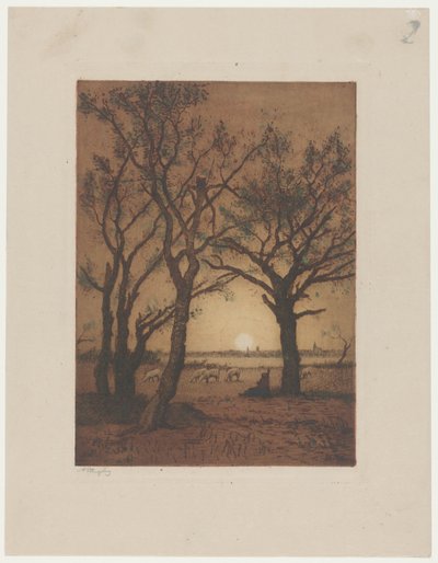Landschaft mit Schafen bei Sonnenuntergang von Alphonse Stengelin (signed by artist)
