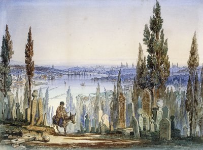Konstantinopel von Eyub aus von Amadeo Preziosi