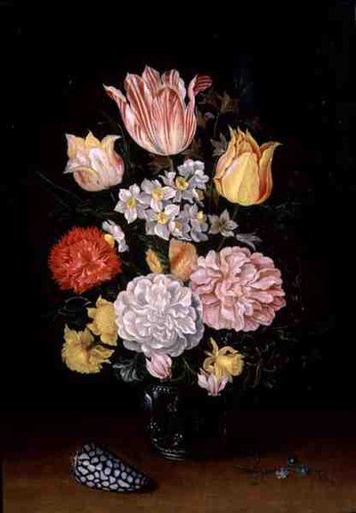 Stillleben mit Blumen und einer Muschel von Ambrosius the Younger Bosschaert