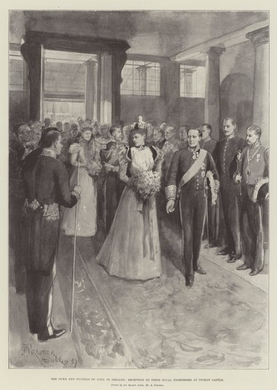 Der Herzog und die Herzogin von York in Irland, Empfang Ihrer Königlichen Hoheiten im Dublin Castle von Amedee Forestier