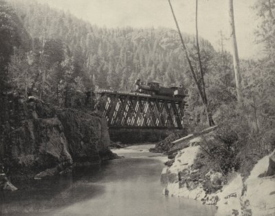 Brücke im Animas Canyon, Colorado von American Photographer (after)