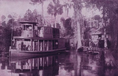 Am Ocklawaha River, Florida von American Photographer (after)