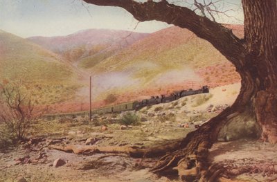 Aufstieg zum Cajon Pass, Kalifornien von American Photographer
