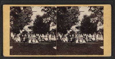 Kinder und Spielplatz, Oneida Community, New York State, ca. 1870 von American Photographer