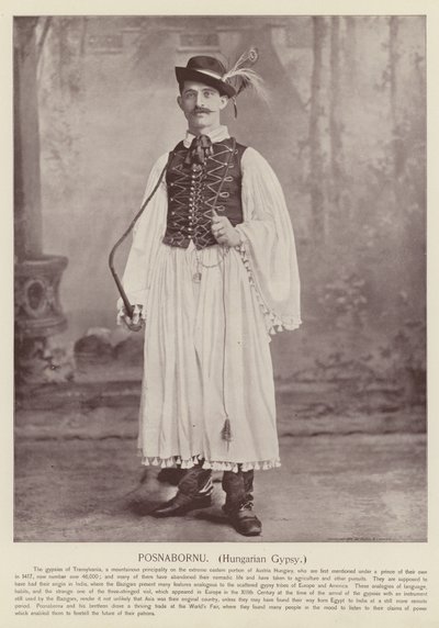 Posnabornu, Ungarischer Zigeuner von American Photographer