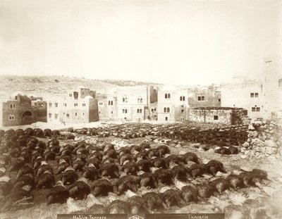 Gerberei in Hebron mit ausgelegten Häuten im Vordergrund, 1898-1911 von American Photographer
