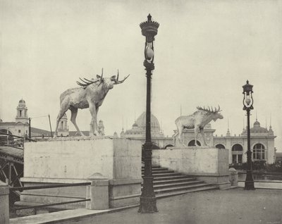 Die Elchbrücke von American Photographer