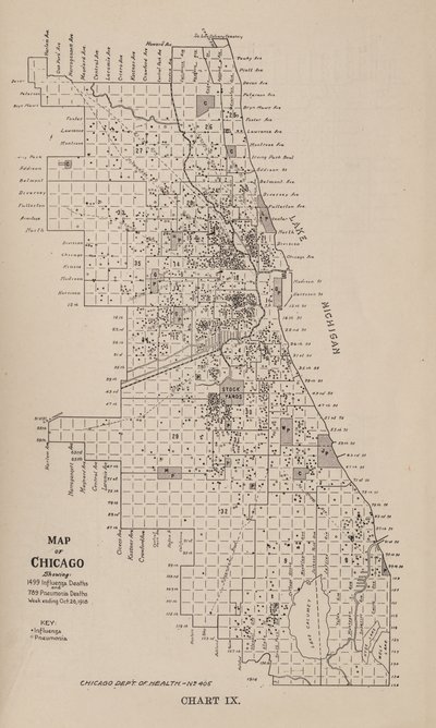 Bericht über eine Grippeepidemie in der Stadt Chicago im Herbst 1918 von American School