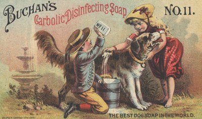 Werbung für Buchans Carbolic Disinfecting Soap No. 11, ca. 1880 von American School