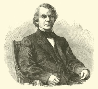 Andrew Johnson, April 1865 von American School