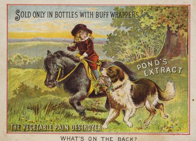 Junge reitet auf einem Pony mit seinem Hund von American School