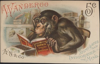 Charles Darwin, Theorie der Entwicklung (d.h. Evolution) von American School