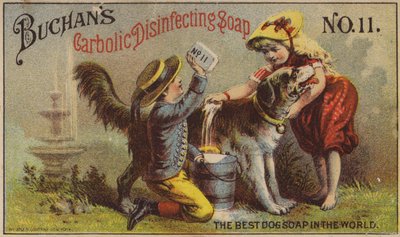 Kinder waschen Hund von American School