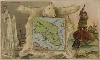 Grönland, Pinguine, Eisbären und Walrossjagd (Chromolithographie) von American School