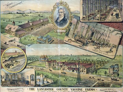 Plan der Lancaster County Vaccine Farms, Nebraska von American School