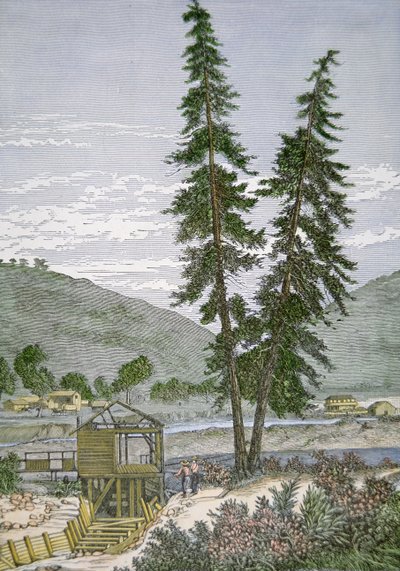 Sutters Mühle von American School
