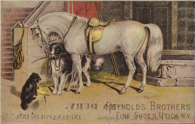 Angebundenes Pferd mit Schäferhund von American School
