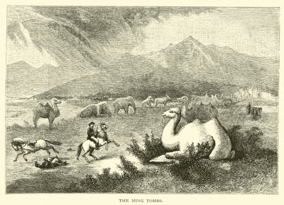 Die Ming-Gräber von American School