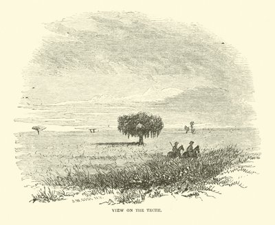 Ansicht auf den Teche, April 1863 von American School
