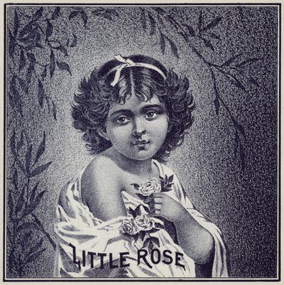 Junges Mädchen mit Rosen von American School