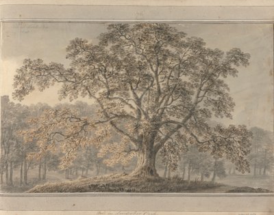 Ansichten in England, Schottland und Wales: Esche im Londesbro Park, Mai 1800 von Amos Green