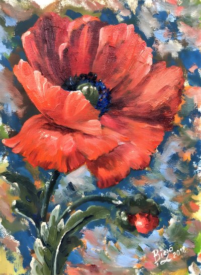 Lebendige Rote Mohnblume von Anda Bieza