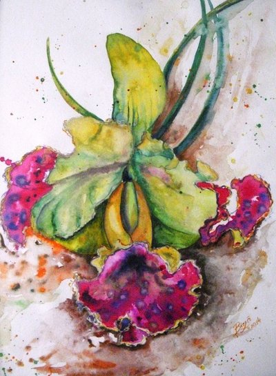 Lebendige Aquarell-Orchidee von Anda Bieza