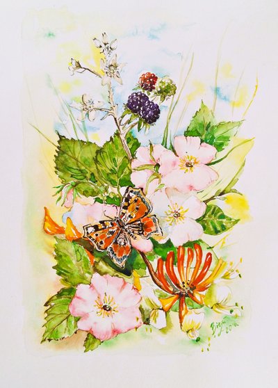 Wildblumen-Schmetterlingsgarten von Anda Bieza