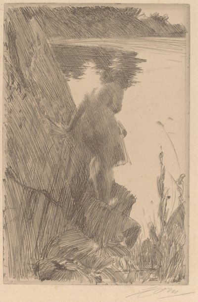 Badende III Baigneuse de Dos, 1896 von Anders Leonard Zorn