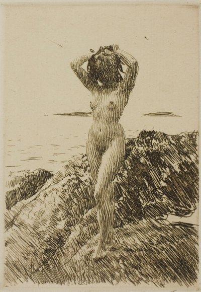 Hårstång (Seegras-Kranz) von Anders Zorn