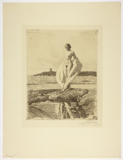 Der Schwan von Anders Leonard Zorn